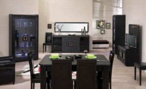 siyah koltuk sandalye vitrin takimi blank