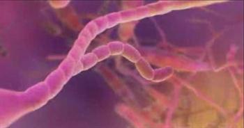 Vaginal Mantarların Belirtileri Nelerdir?