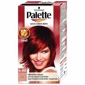 palete saç boyası blank