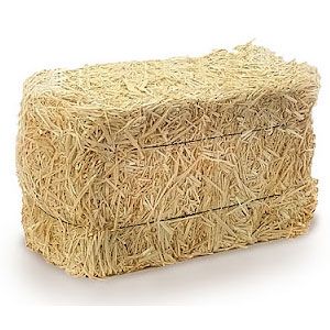 Rüyada Saman Görmek