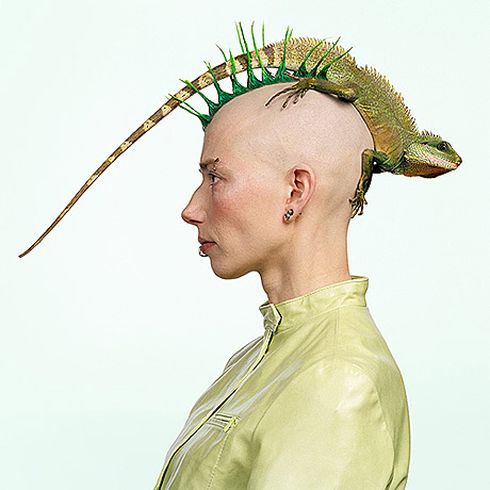 yeni trend punk modası blank