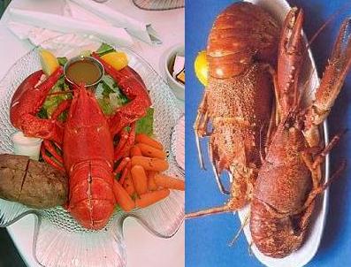 Istakoz Nasıl Pişirilir ve Hazırlanır?