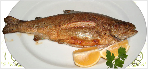 Alabalık Iskarası